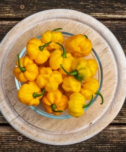 40 Yellow Jamaican Hot Pepper Seeds – Capsicum Chinense Scotch Bonnet Vegetable Seeds - Image 1