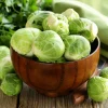 400 Catskill Brussel Sprout Seeds - Brassica Oleracea Vegetable Seeds - Image 1