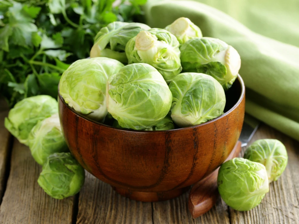 400 Catskill Brussel Sprout Seeds - Brassica Oleracea Vegetable Seeds - Image 1