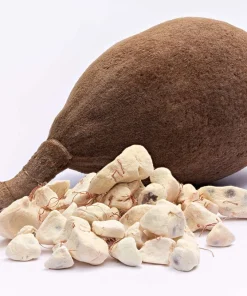 5 African Baobab Tree Seeds - Adansonia Digitata - Monkey Bread Fruit - Image 6