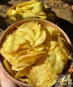 5 Beauregard Sweet Potato Plants – Organic Slips – Orange Flesh - Image 10