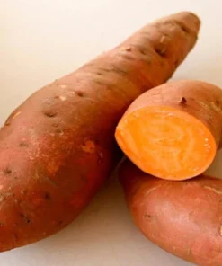 5 Beauregard Sweet Potato Plants – Organic Slips – Orange Flesh - Image 2