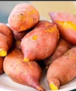 5 Beauregard Sweet Potato Plants – Organic Slips – Orange Flesh - Image 6