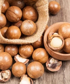 5 Macadamia Nut Tree Seeds - Macadamia Integrifolia - Grow Your Own Nuts - Image 1