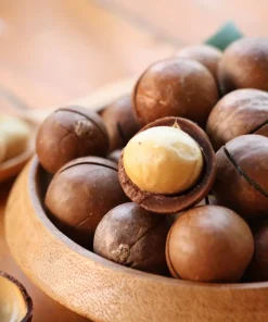 5 Macadamia Nut Tree Seeds - Macadamia Integrifolia - Grow Your Own Nuts - Image 4