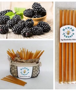 5 Pack Blackberry Blossom Honey Sticks - Natural Snack Straws - Image 1