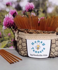5 Pack Clover Blossom Honey Snack Sticks - Natural Honeystix Teasers - Image 3