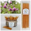 5 Pack Clover Blossom Honey Snack Sticks - Natural Honeystix Teasers - Image 1