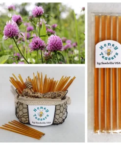5 Pack Clover Blossom Honey Snack Sticks - Natural Honeystix Teasers - Image 1
