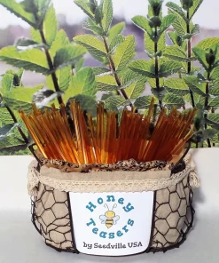 5 Pack Mint Honey Teasers Natural Honey Snack Sticks Honeystix Straws - Image 3
