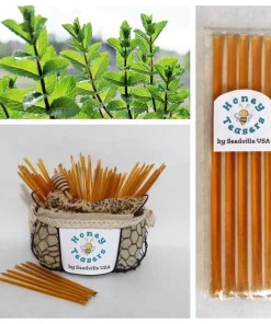 5 Pack Mint Honey Teasers Natural Honey Snack Sticks Honeystix Straws - Image 1