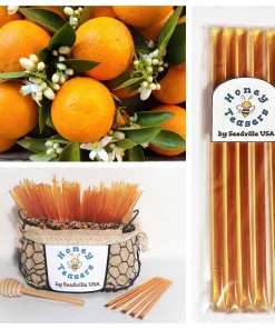 5 Pack Orange Blossom Honey Teasers - Natural Honey Snack Sticks - Image 1