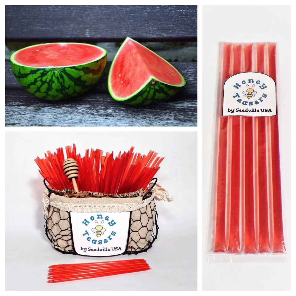 5 Pack Watermelon Honey Sticks - Natural Honey Snack Honeystix Straws - Image 1
