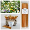 5 Pack Wildflower Honey Teasers - Natural Snack Sticks Honeystix Straws - Image 1