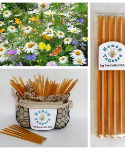 5 Pack Wildflower Honey Teasers - Natural Snack Sticks Honeystix Straws - Image 1