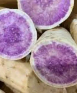 5 Purple Okinawa Sweet Potato Plants - Live Vegetable Plants - Image 6