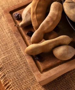 5 Tamarind Tree Seeds - Tamarindus Indica - Grow Your Own Fruit Plant - Image 4