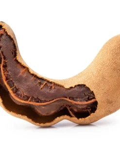 5 Tamarind Tree Seeds - Tamarindus Indica - Grow Your Own Fruit Plant - Image 8