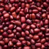 50 Adzuki Bean Seeds - Red Maroon Legume Vegetable Seeds - Image 1