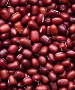 50 Adzuki Bean Seeds - Red Maroon Legume Vegetable Seeds - Image 1
