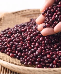 50 Adzuki Bean Seeds - Red Maroon Legume Vegetable Seeds - Image 5