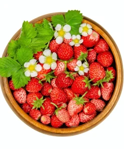50 Alexandria Strawberry Seeds - Everbearing Alpine Fragaria Vesca Red Berry Fruit - Image 4