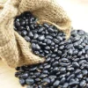 50 Black Turtle Bush Bean Seeds - Phaseolus Vulgaris Vegetable Seeds - Image 1