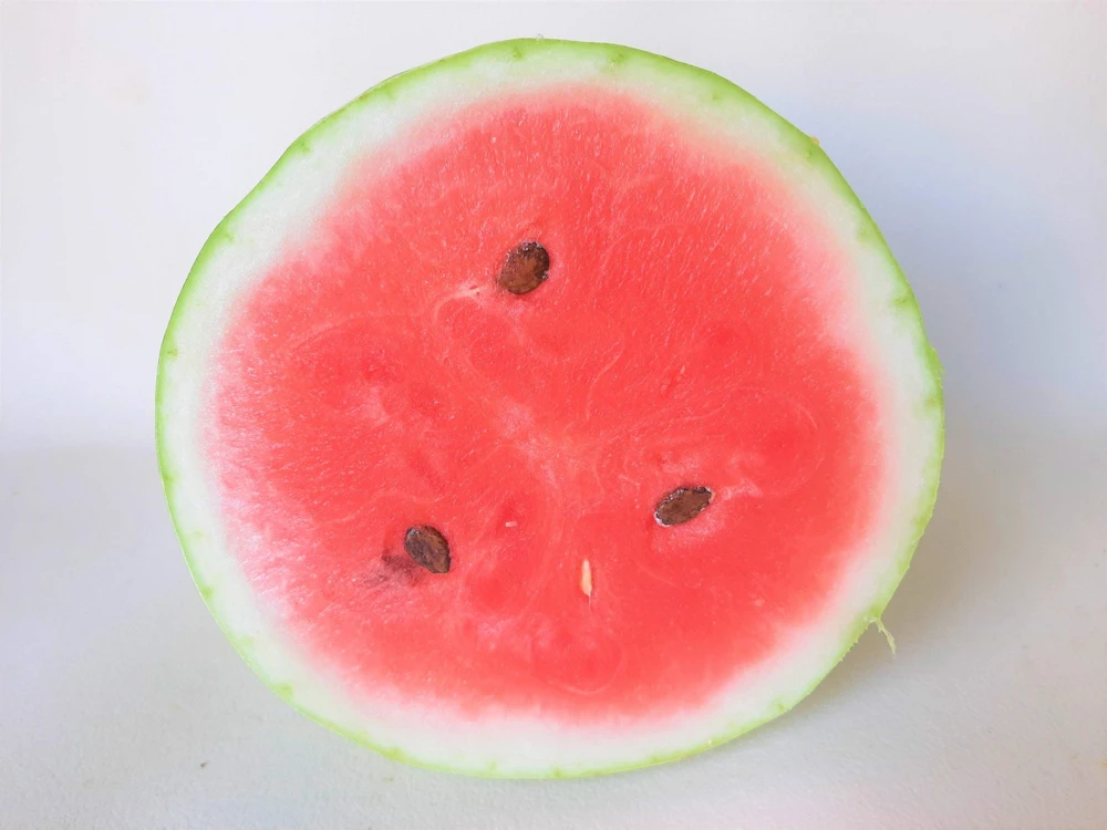 50 Charleston Gray Watermelon Seeds - Citrullus Lanatus Red Fruit Melon Seeds - Image 2