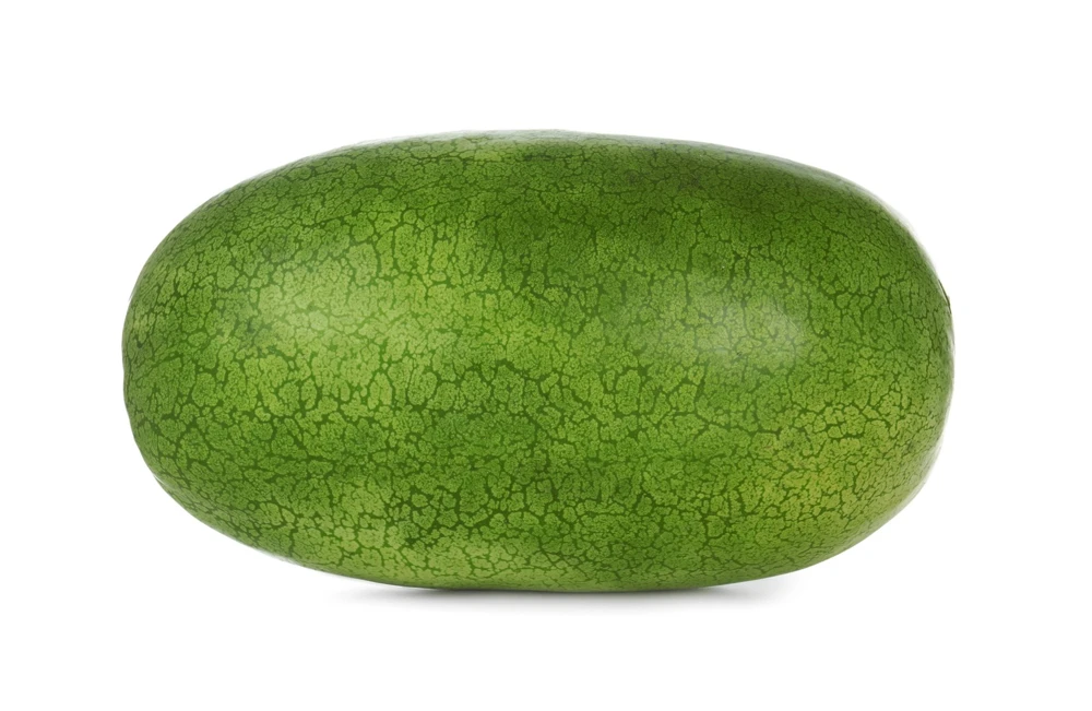 50 Charleston Gray Watermelon Seeds - Citrullus Lanatus Red Fruit Melon Seeds - Image 4