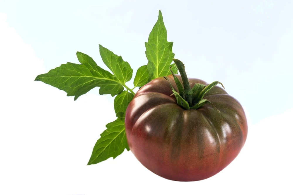 50 Chocolate Stripes Tomato Seeds - Brown with Green Lycopersicon Fruit - Image 1