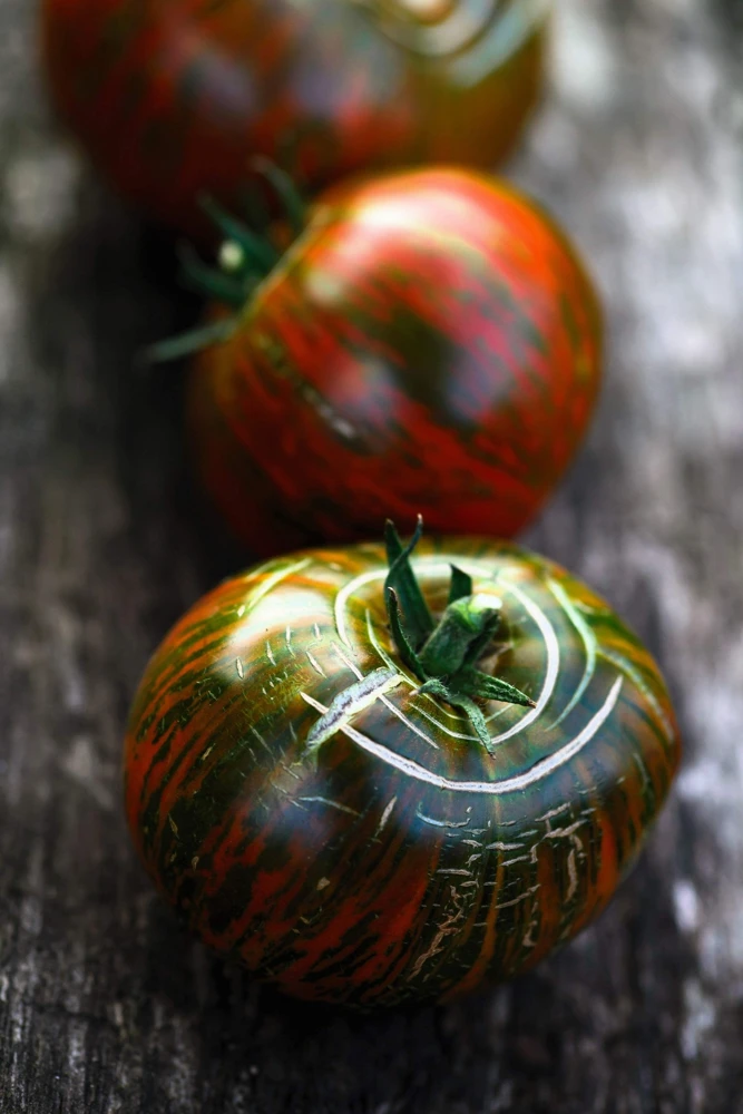 50 Chocolate Stripes Tomato Seeds - Brown with Green Lycopersicon Fruit - Image 5