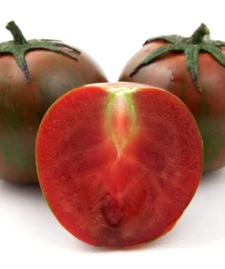 50 Chocolate Stripes Tomato Seeds - Brown with Green Lycopersicon Fruit - Image 7