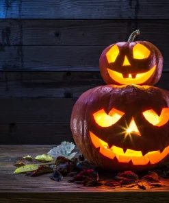 50 Connecticut Field Pumpkin Seeds - Big Tom Orange Cucurbita Pepo Vegetable - Image 11