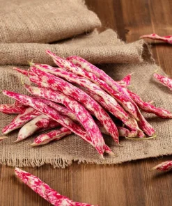 50 Cranberry Bean Seeds - Borlotti Roman Phaseolus Vegetable Seeds - Image 2