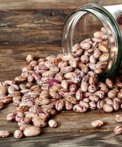 50 Cranberry Bean Seeds - Borlotti Roman Phaseolus Vegetable Seeds - Image 6