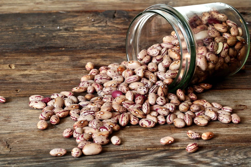 50 Cranberry Bean Seeds - Borlotti Roman Phaseolus Vegetable Seeds - Image 6