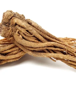 50 Dong Quai Angelica Sinensis Herb White Flower Seeds – Chinese Angelica Seeds - Image 7