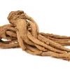 50 Dong Quai Angelica Sinensis Herb White Flower Seeds – Chinese Angelica Seeds - Image 1