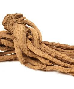 50 Dong Quai Angelica Sinensis Herb White Flower Seeds – Chinese Angelica Seeds - Image 1
