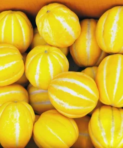 50 Early Silver Line Melon Seeds - Yellow Striped White Flesh Korean Fruit - Image 3