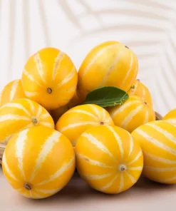 50 Early Silver Line Melon Seeds - Yellow Striped White Flesh Korean Fruit - Image 4
