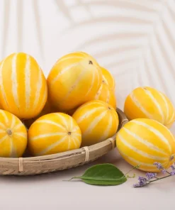 50 Early Silver Line Melon Seeds - Yellow Striped White Flesh Korean Fruit - Image 5