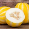 50 Early Silver Line Melon Seeds - Yellow Striped White Flesh Korean Fruit - Image 1