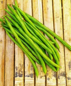 50 French Blue Lake Pole Bean Seeds - Phaseolus Vulgaris Vegetable Seeds - Image 6