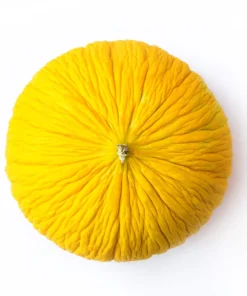 50 Golden Beauty Casaba Melon Seeds - Sweet, Creamy Fruit - Image 2