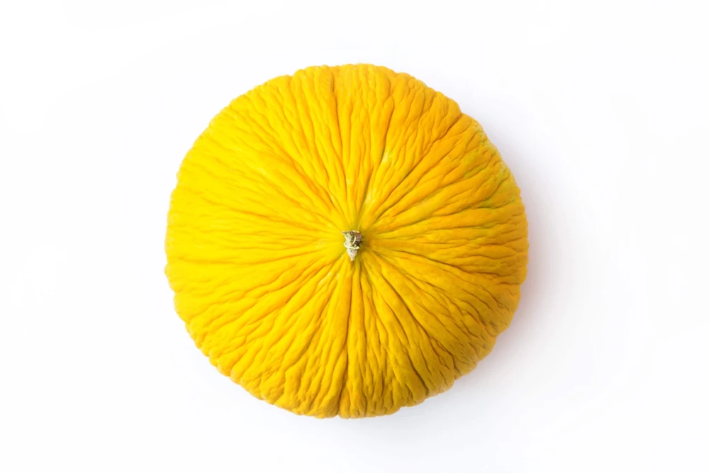 50 Golden Beauty Casaba Melon Seeds - Sweet, Creamy Fruit - Image 2