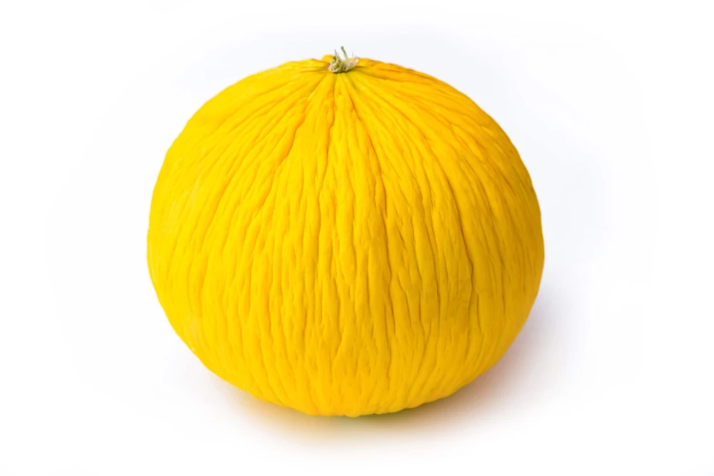 50 Golden Beauty Casaba Melon Seeds - Sweet, Creamy Fruit - Image 3