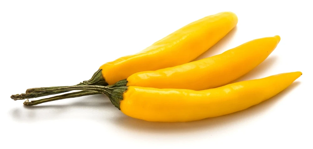 50 Golden Cayenne Pepper Hot Yellow Vegetable Seeds - Capsicum Annuum - Image 2