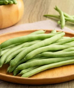 50 Greencrop Green Bean Seeds - Phaseolus Vulgaris Vegetable Seeds - Image 1