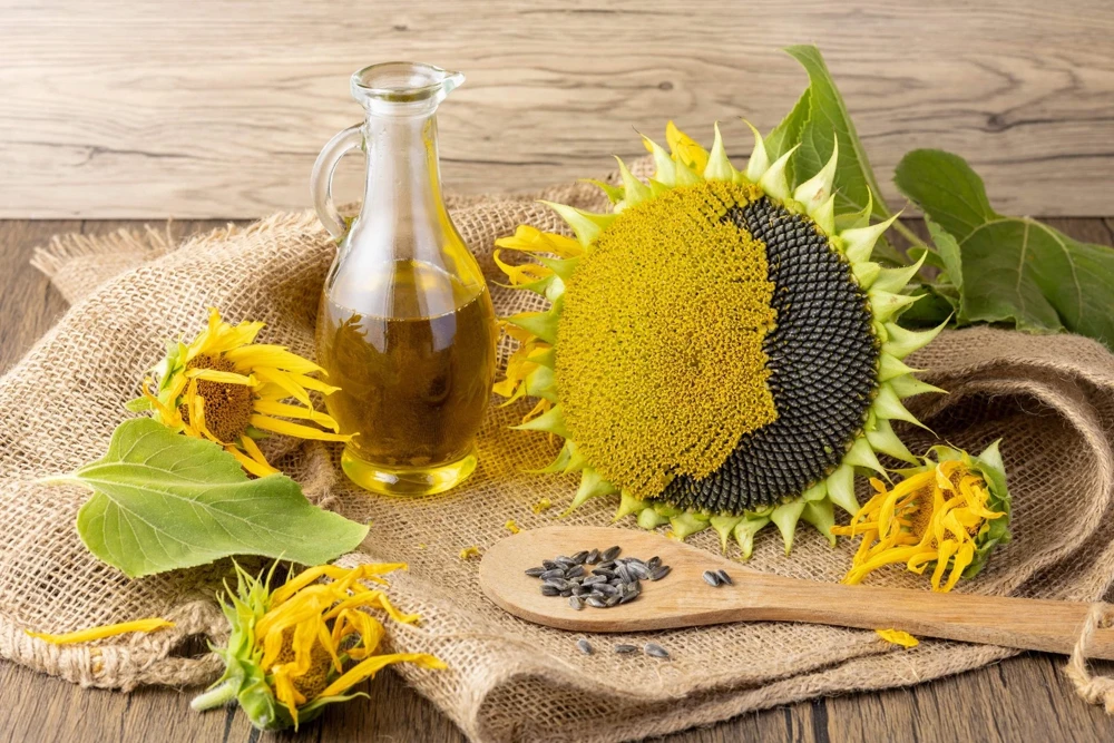 50 Hopi Black Dye Sunflower Seeds - Helianthus Annuus for Garden - Image 3